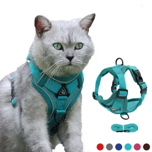 Cat Harness and leash