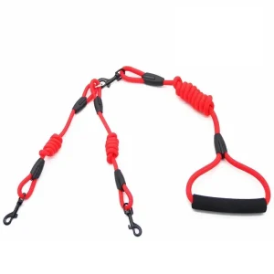 double leash