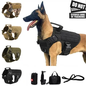 Tactical  Vest and leash